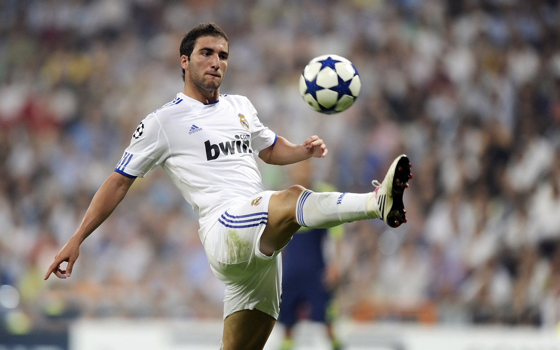 九游娱乐官网-范弗利特独舞北岸花园，北京队横扫凯尔特人背后的孤胆英雄叙事